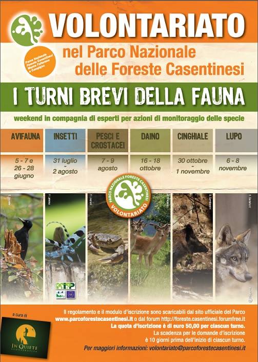 Turnii brevi di monitoraggio dell''avifauna nel Parco Nazionale Foreste Casentinesi